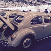 VW Nationals 2015